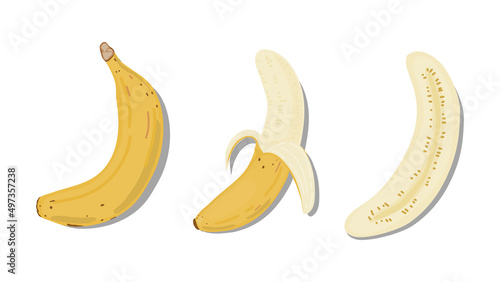 hand-drawn flat Lay, Food knolling style vector illustration of  ingredients isolated on white background. Banana , avocado, nuts, raisin, almond