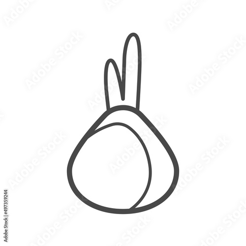 Vector linear icon with onion
