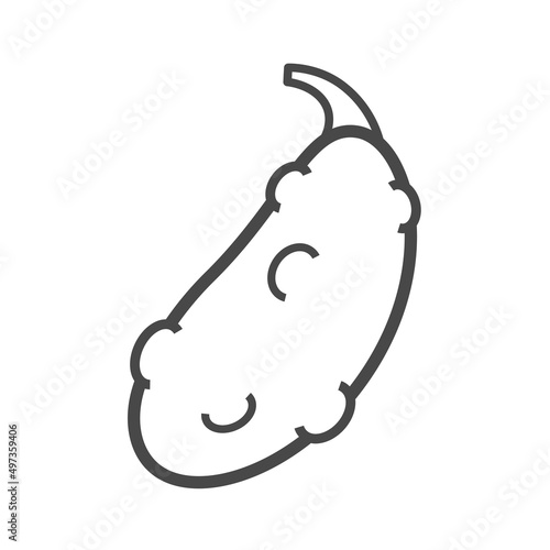Vector linear icon with pimpled cucumber