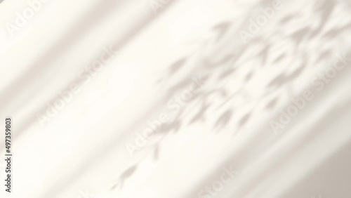 Abstract silhouette overlay shadows white background of natural leaves tree branch falling on wall. Transparent blurry shadow leaf in morning sun light.