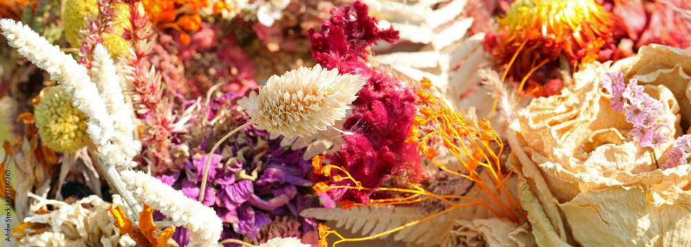 floral composition of dried flowers of many varieties and colors