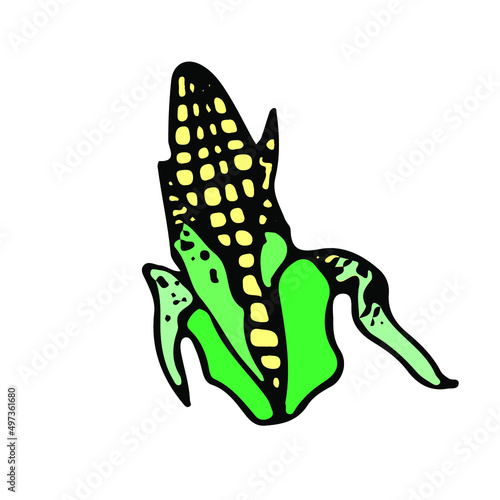 Corn food agricultural sketch vector icon. Ranch field, rural countryside. Harvest scarcity concept, industry problems symbol. Hand drawn bio illustration isolated on white.