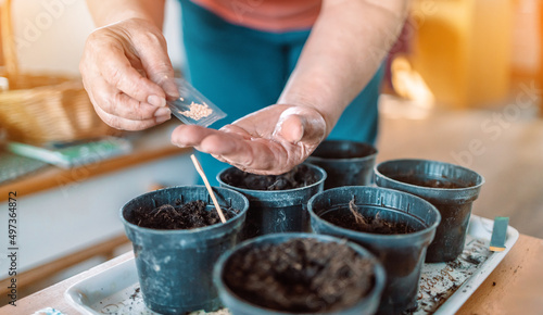 Farmers woman hands with gardening gloves planting seeds in pot at home