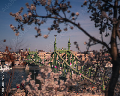 Beautiful Liberty Bridge wi...
