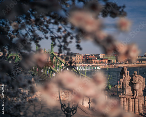 Beautiful Liberty Bridge wi...