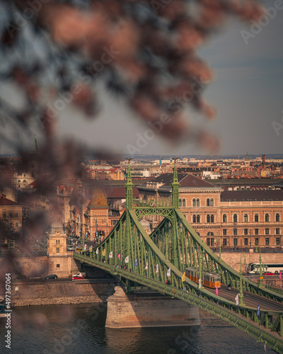 Beautiful Liberty Bridge wi...