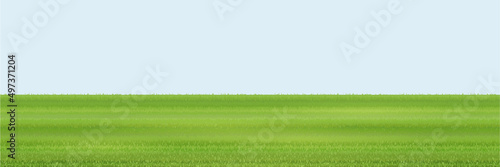 Fotografiet Green grass field isolated on light blue background. Vector