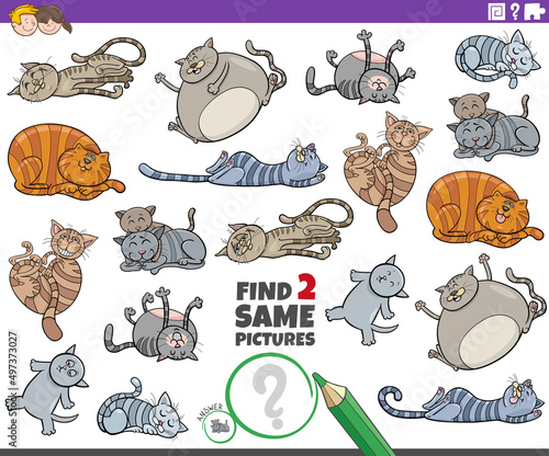 find two same cartoon cats animal characters educational game