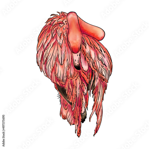 Drawing of a flamingo in numbers on a white background.