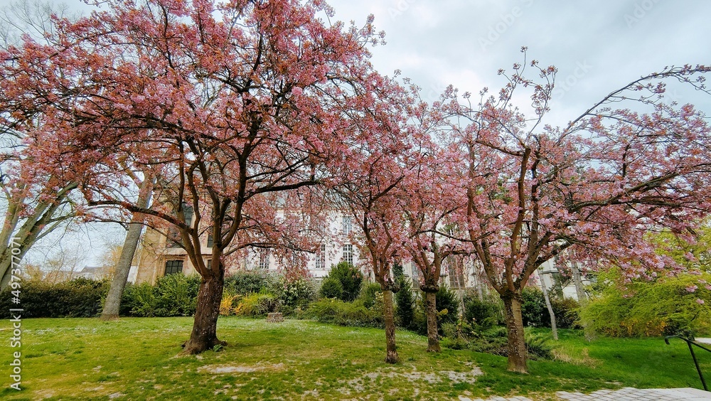 REIMS (Marne)