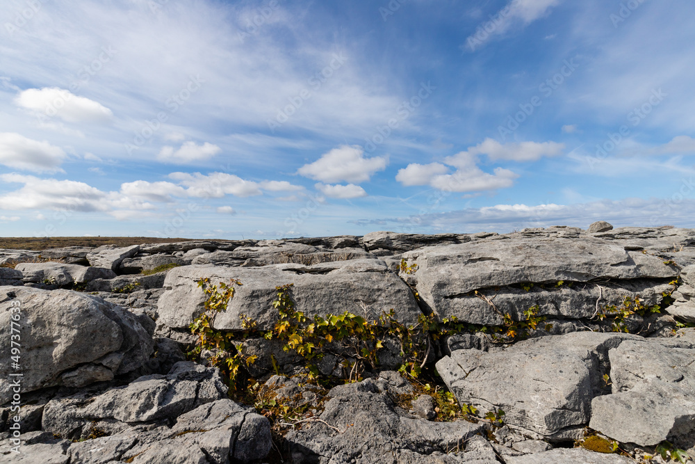 Stone Desert in Ireland