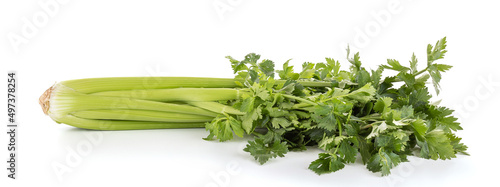 Celery bouquet isolated