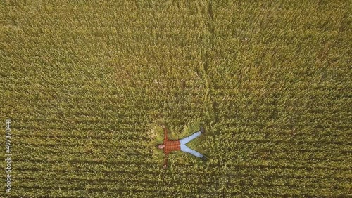 A man lying on the ground in a wheat field. Top view. Aerial drone view.