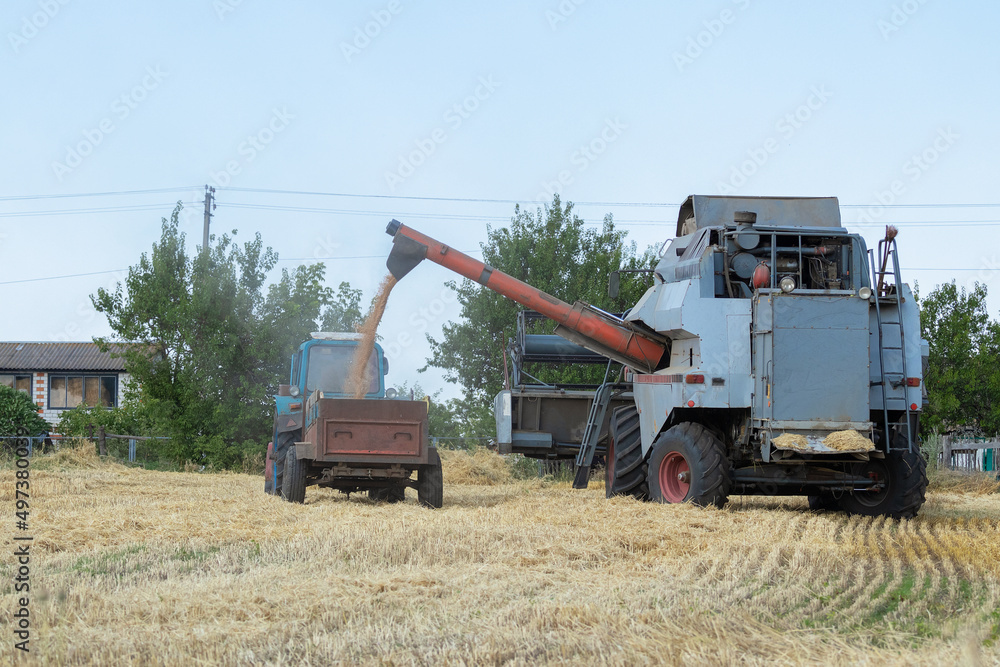 Agricultural machinery collects grain of wheat on the field.The concept of farming and sowing in Ukraine. Agricultural machinery collects grain of wheat on the field.The concept of farming and sowing in Ukraine.