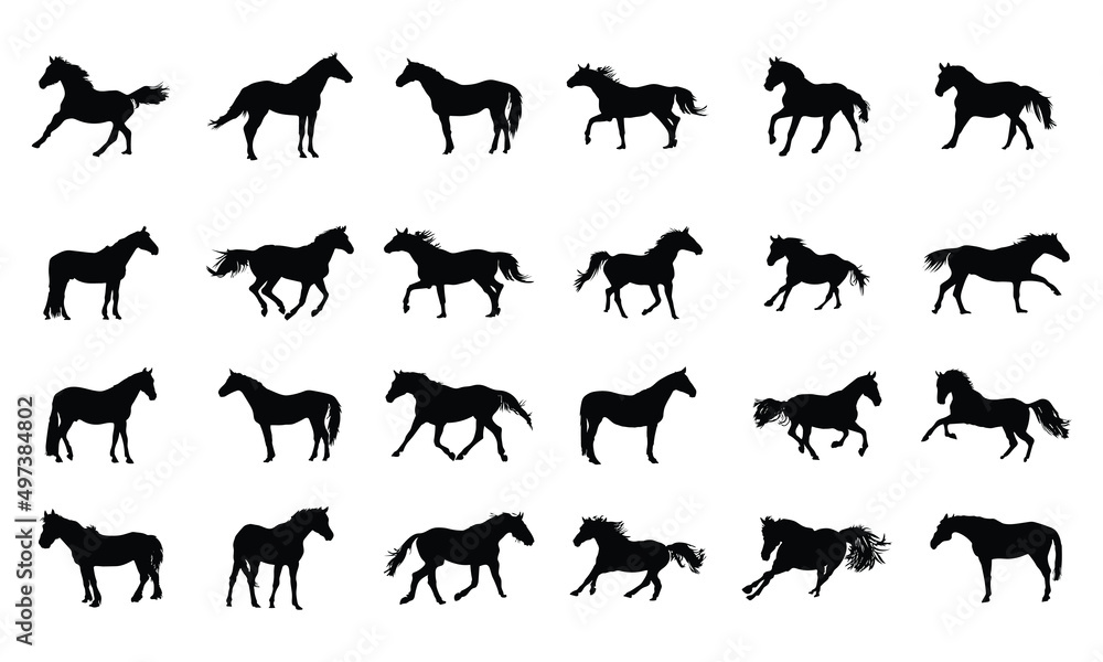 Fototapeta premium Collection of horses silhouettes set on white background
