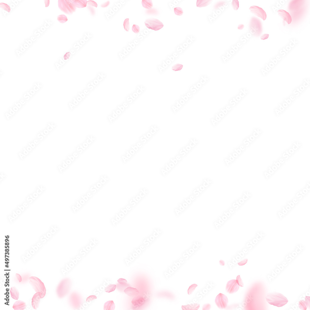 Sakura petals falling down. Romantic pink flowers borders. Flying petals on white square background. Love, romance concept. Original wedding invitation.