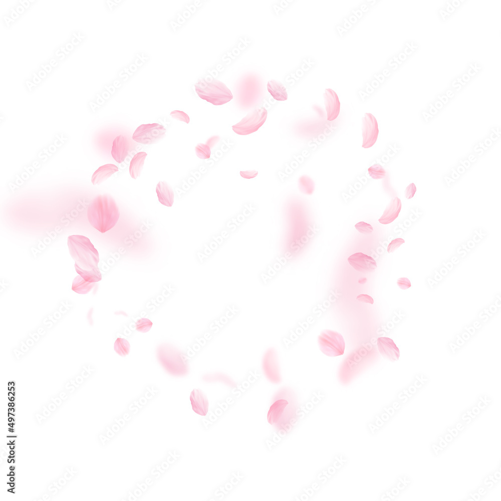 Sakura petals falling down. Romantic pink flowers frame. Flying petals on white square background. Love, romance concept. Perfect wedding invitation.