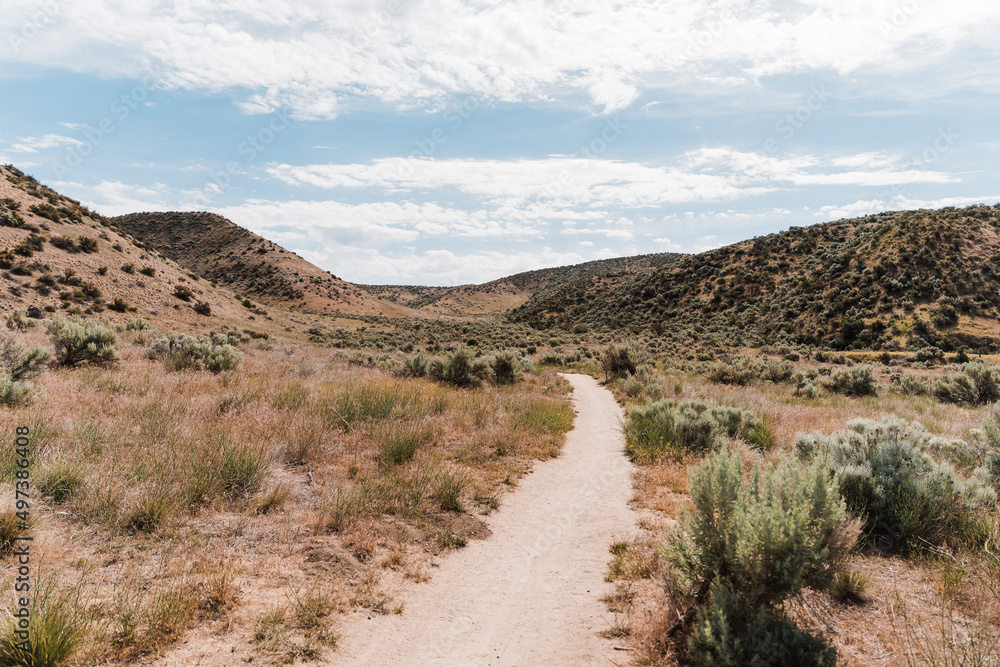 Trail winding through sagebrush in the Boise foothills Trail winding through sagebrush in the Boise foothills