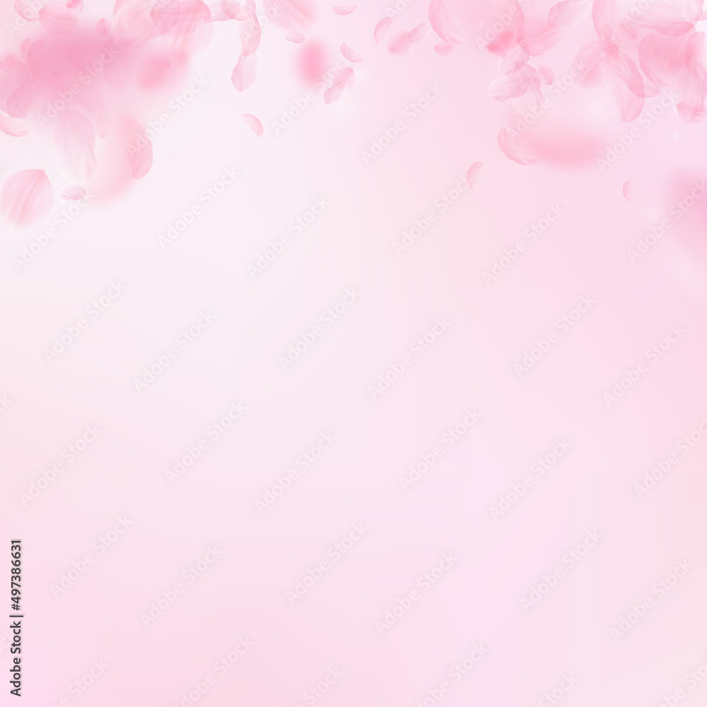 Sakura petals falling down. Romantic pink flowers gradient. Flying petals on pink square background. Love, romance concept. Amusing wedding invitation. Sakura petals falling down. Romantic pink flowers gradient. Flying petals on pink square background. Love, romance concept. Amusing wedding invitation.