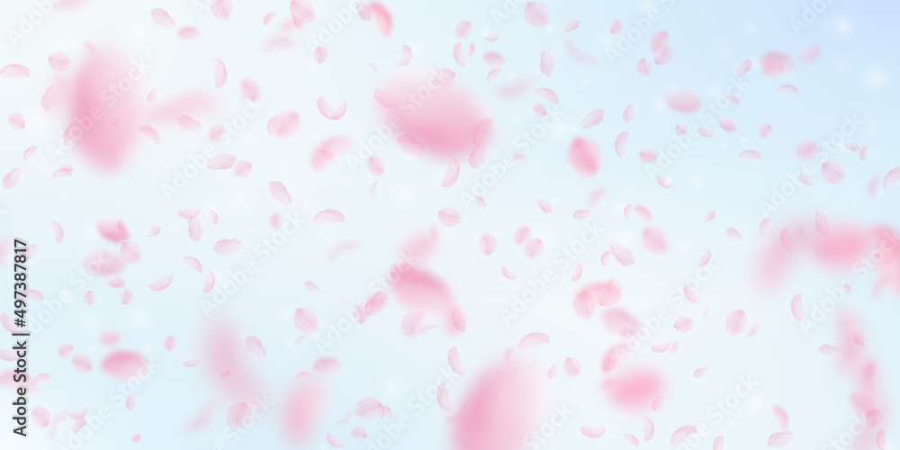 Sakura petals falling down. Romantic pink flowers falling rain. Flying petals on blue sky wide background. Love, romance concept. Likable wedding invitation.