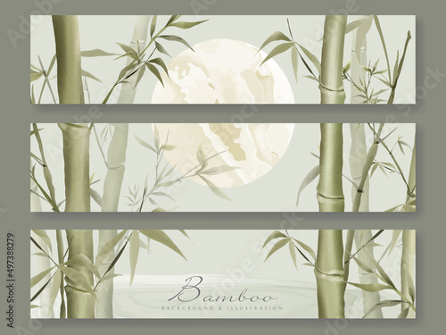 Elegant background set with bamboo hand drawn