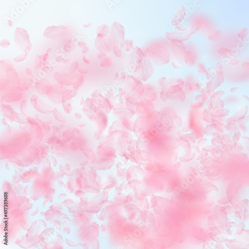 Sakura petals falling down. Romantic pink flowers gradient. Flying petals on blue sky square background. Love, romance concept. Remarkable wedding invitation.