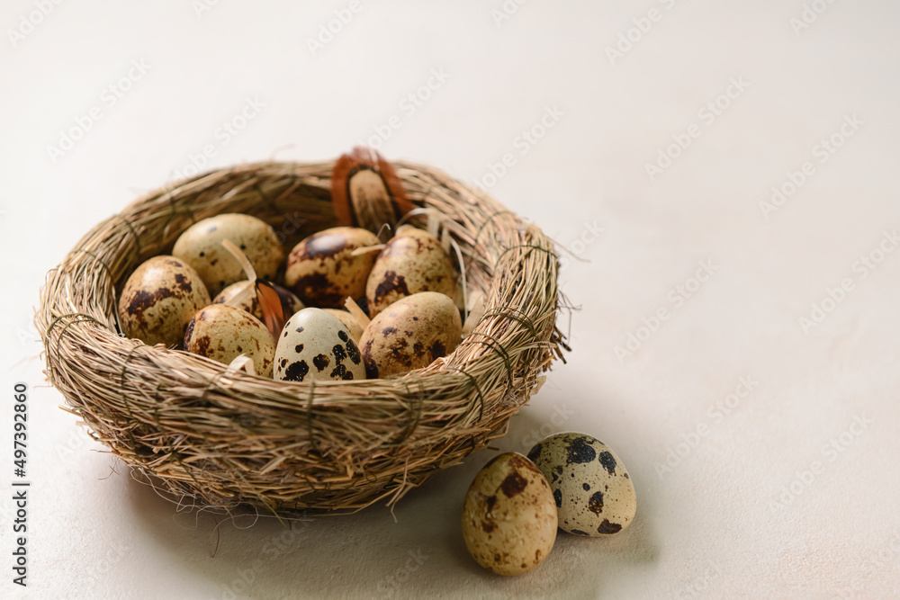 Nest with fresh quail eggs on light background Nest with fresh quail eggs on light background