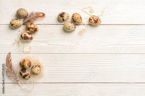 Fresh quail eggs and feathers on white wooden background
