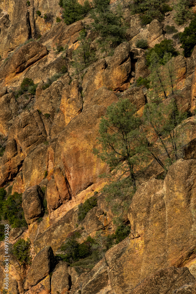 Angled Rocks With Trees Dotting The Cliff