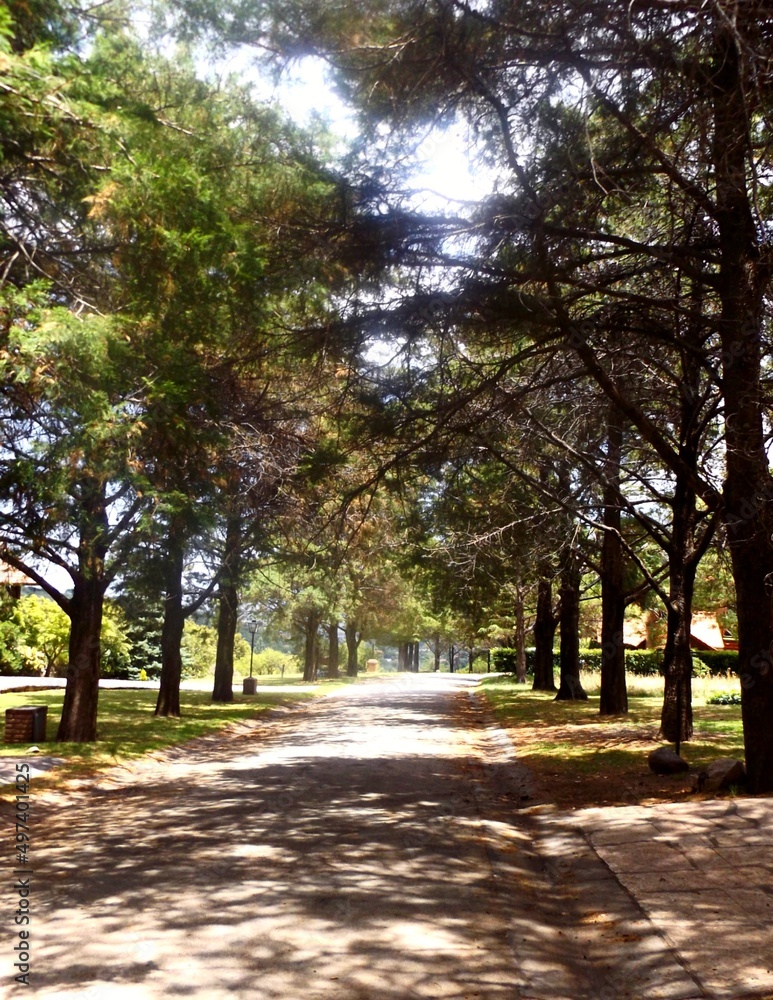 autumn in the park