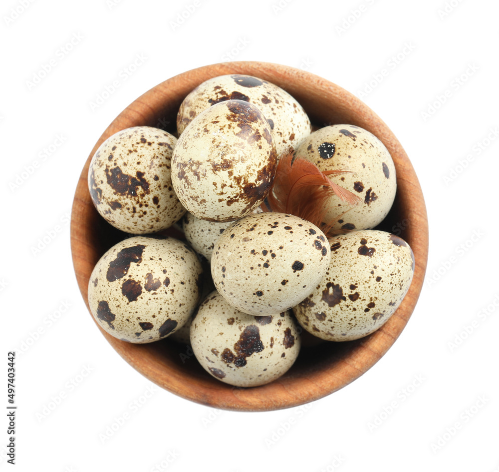 Wooden bowl with quail eggs and feather isolated on white, top view Wooden bowl with quail eggs and feather isolated on white, top view
