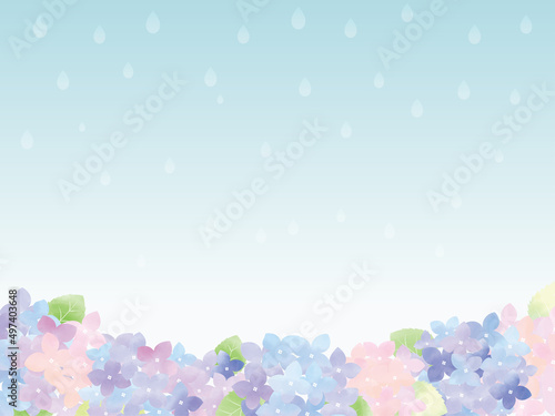 水彩風の梅雨の紫陽花（アジサイ）イラスト素材