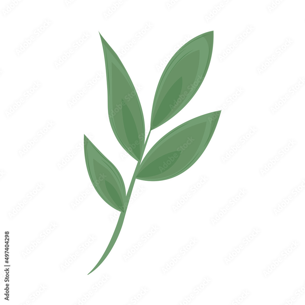 flora leaves nature flora leaves nature