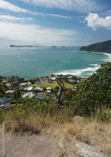 The View Around mount Paku in New Zealand.