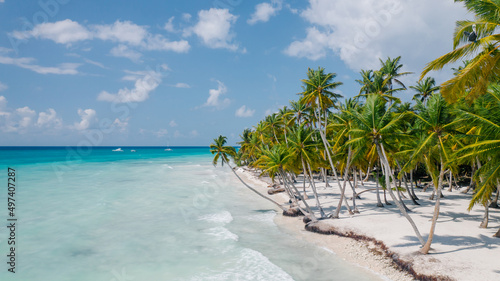 Fototapeta Naklejka Na Ścianę i Meble -  Turquoise sea and white sand beach. Tall palm trees