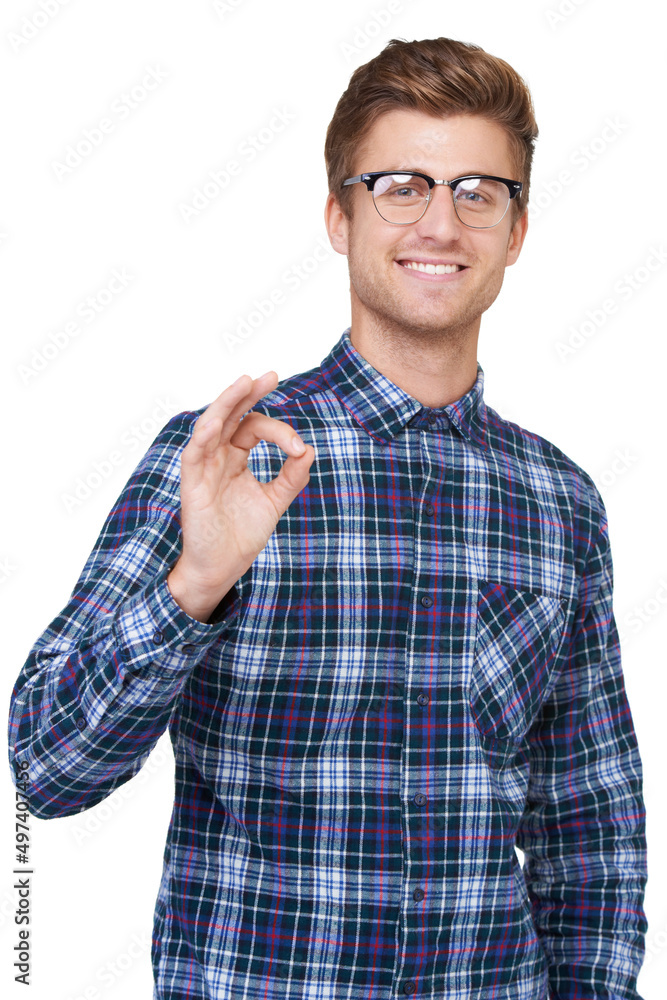Good job, perfect. Portrait of handsome young hipster gesturing that its okay. Good job, perfect. Portrait of handsome young hipster gesturing that its okay.
