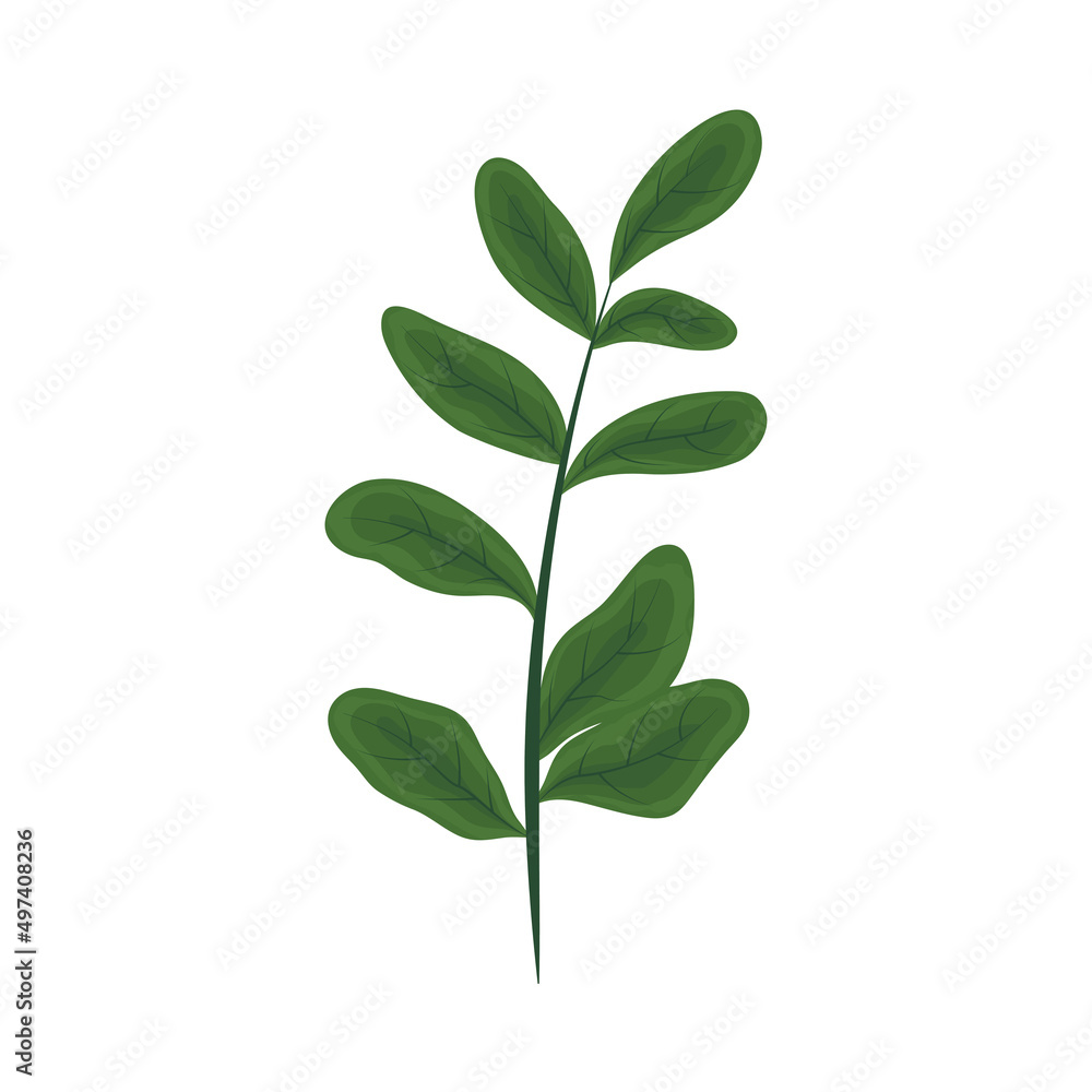 nature plant icon