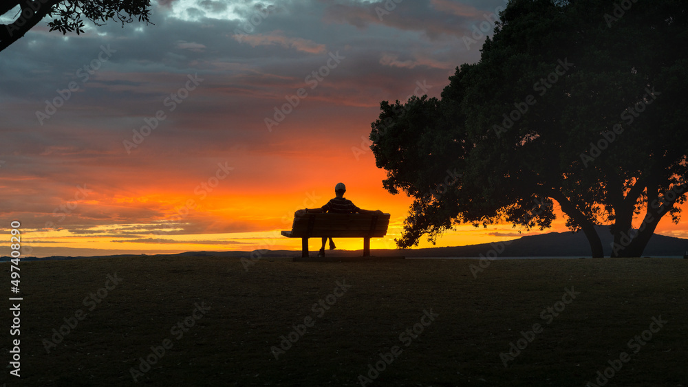 Silhouette image of a man sitting on the bench at sunrise. Framed by Pohutukawa trees. Auckland.