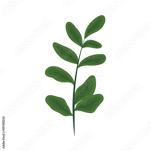 nature plant icon