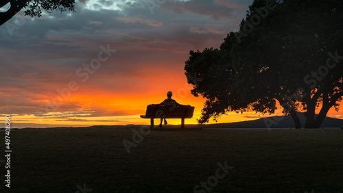 Silhouette image of a man sitting on the bench at sunrise. Framed by Pohutukawa trees. Auckland.