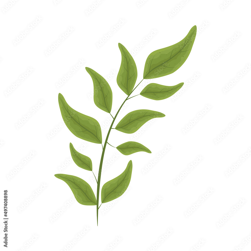 nature vegetation icon