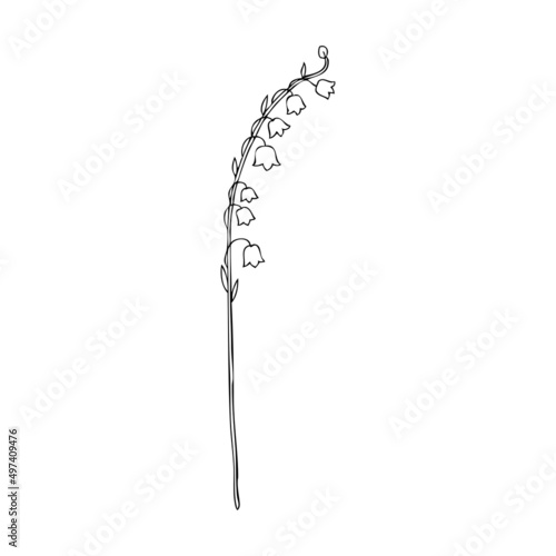 Lily of the valley, Convallaria flower, line art muguet isolated on white, botanical hand drawn sketch vector doodle illustration for design package cosmetic, greeting card, wedding invitation