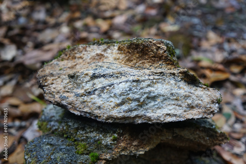 Sample a piece of raw biotite genesis rock stone on a nature background. photo