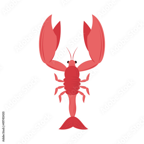 lobster sea life