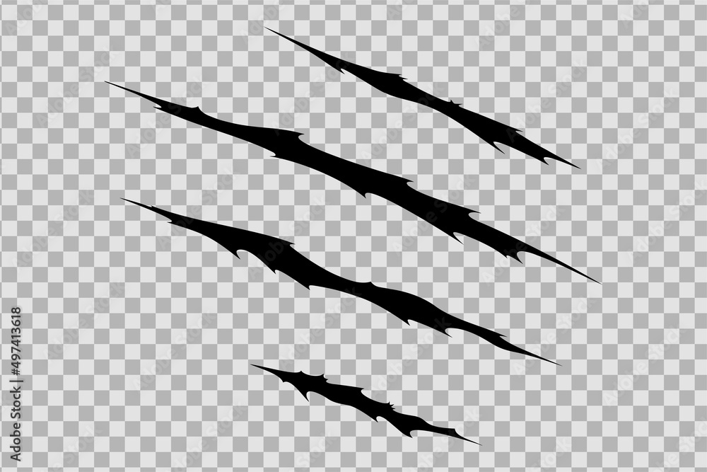 Claw scratches of wild animal. Cat scratches marks isolated in