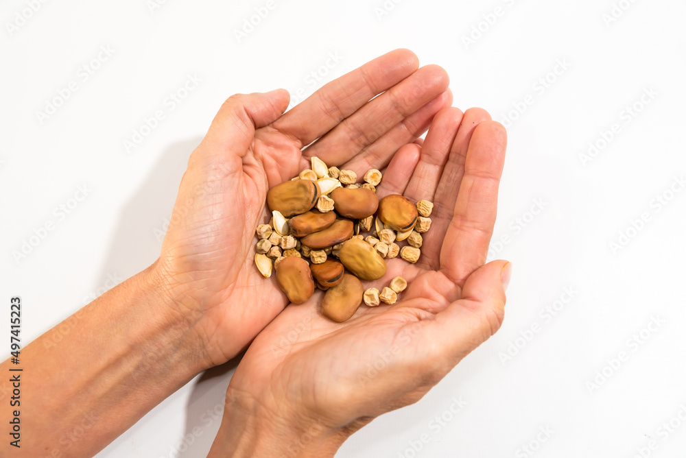 hands holding seeds for planting at home, blossom, mother earth, earth day concept hands holding seeds for planting at home, blossom, mother earth, earth day concept