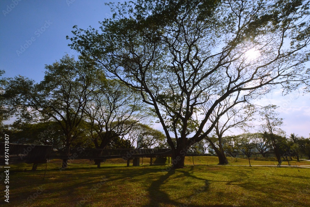 Obraz premium Park, architecture and cityscape in Thailand