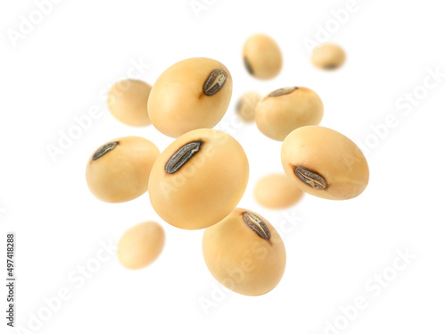 Soybeans levitate isolated on a white background. photo