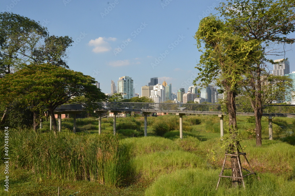Park, architecture and cityscape in Thailand 