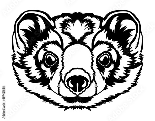 Weasel face vector iilustration in hand drawn style, perfect for tshirt and mascot design 